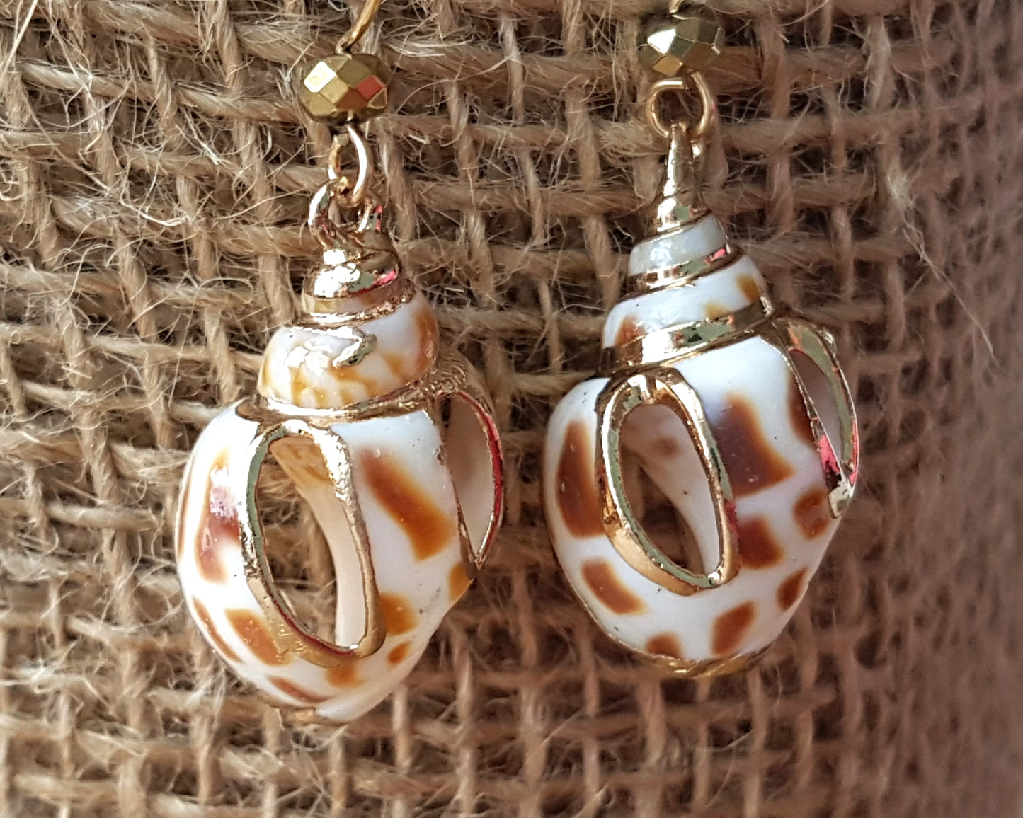 Golden Ocean Shell Dangle Earrings-14k Gold Filled