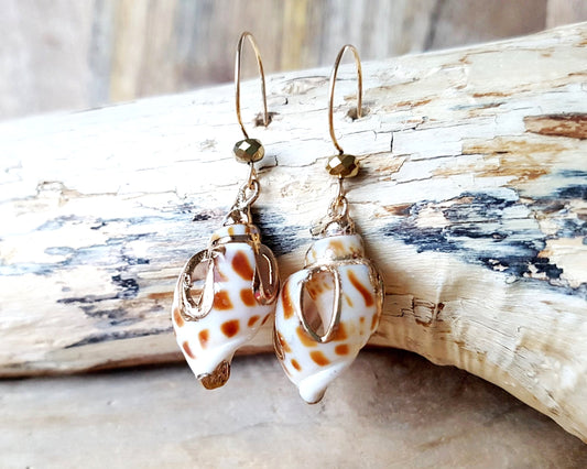 A pair of long Shell Dangle earring with shells cut and detailed with  gold and sparkly gold-plated hematite, french style earrings hooks, displayed on beach wood