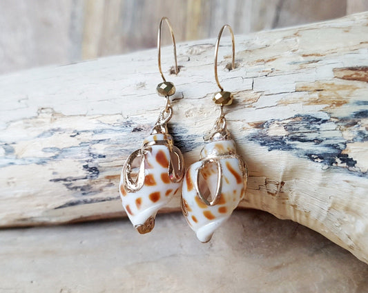 Golden Ocean Shell Dangle Earrings