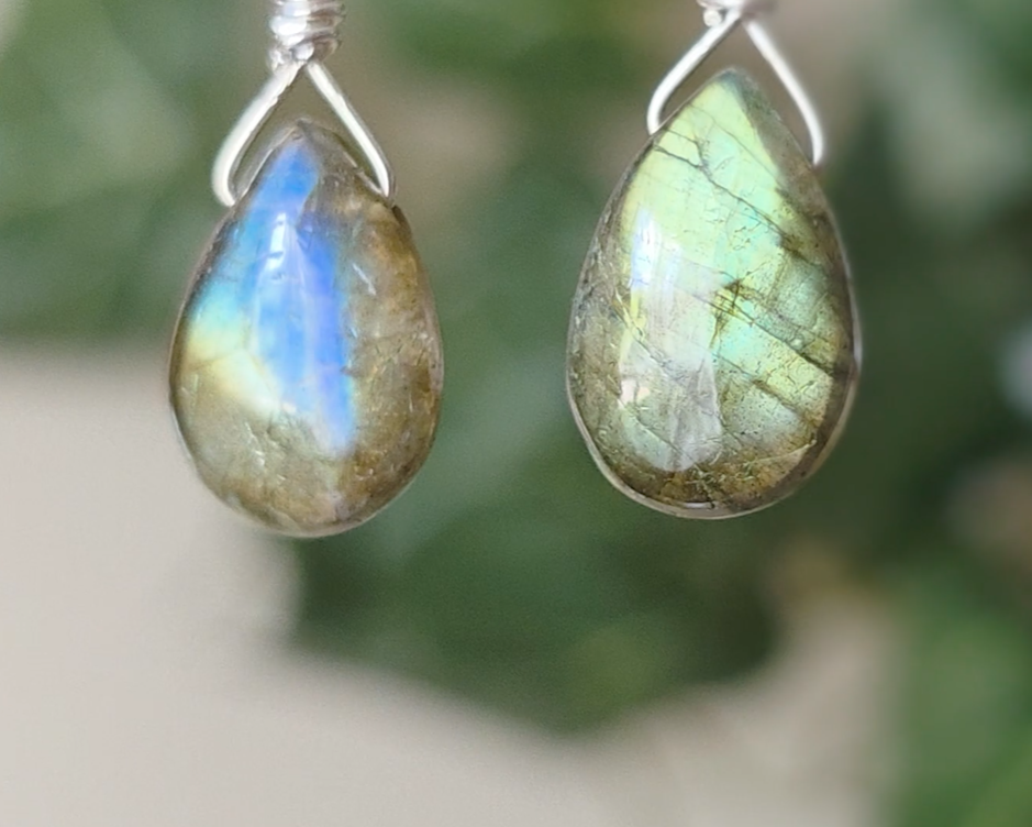 Handmade Labradorite drop shaped earrings with colorful flashes of blue and gold on sterling silver  with plants in the background 
